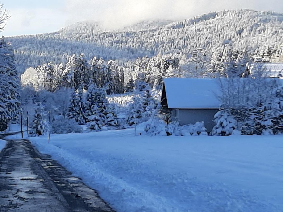 Chalet Waldstadl, Andrea'S Woidhaisl Арнбрук Екстериор снимка