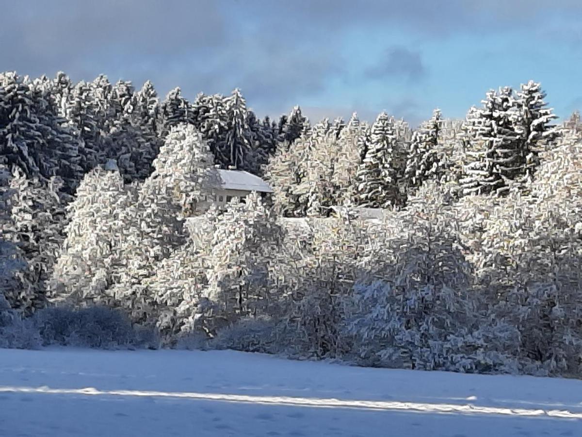 Chalet Waldstadl, Andrea'S Woidhaisl Арнбрук Екстериор снимка
